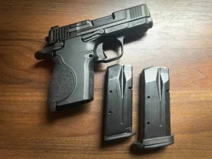 The Smith and Wesson M&P 9mm