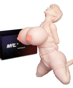 .0 Anna is a stylized anime sex doll art figure